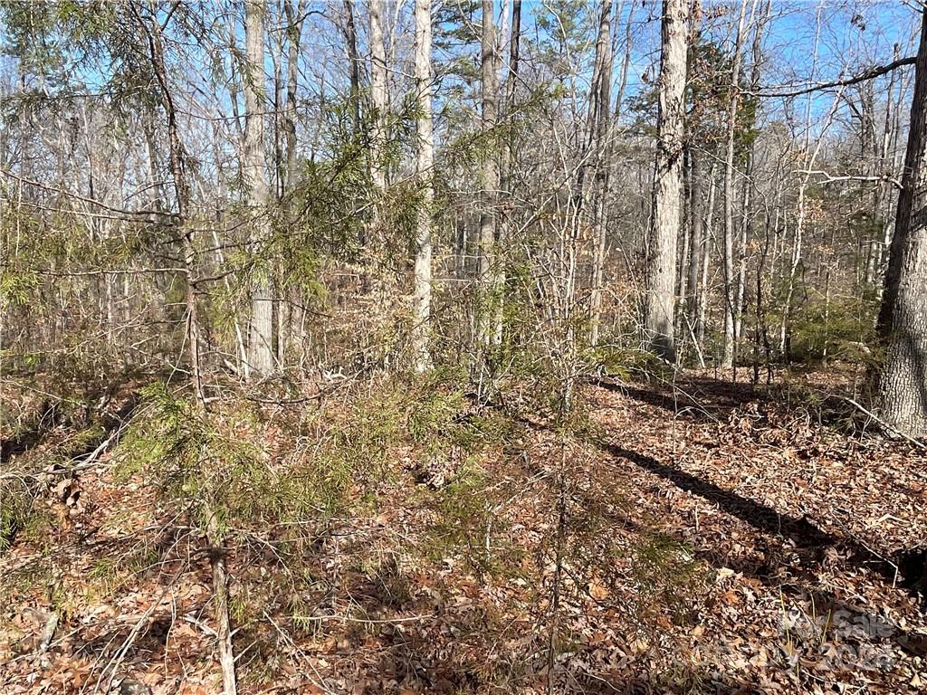 161 Little River Trail Fort Mill, SC 29707 - Photo 14 of 41