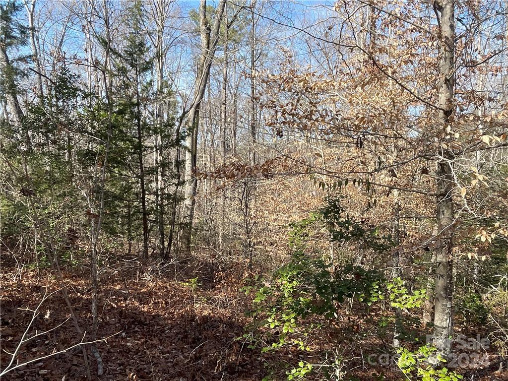 161 Little River Trail Fort Mill, SC 29707 - Photo 15 of 41