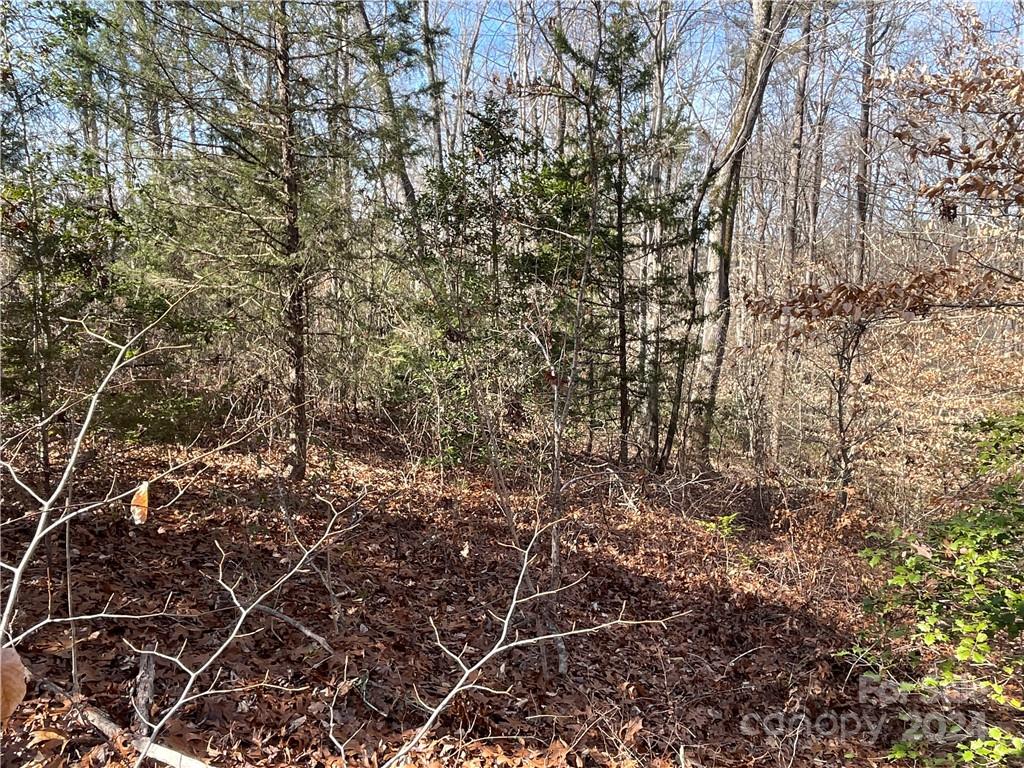 161 Little River Trail Fort Mill, SC 29707 - Photo 16 of 41