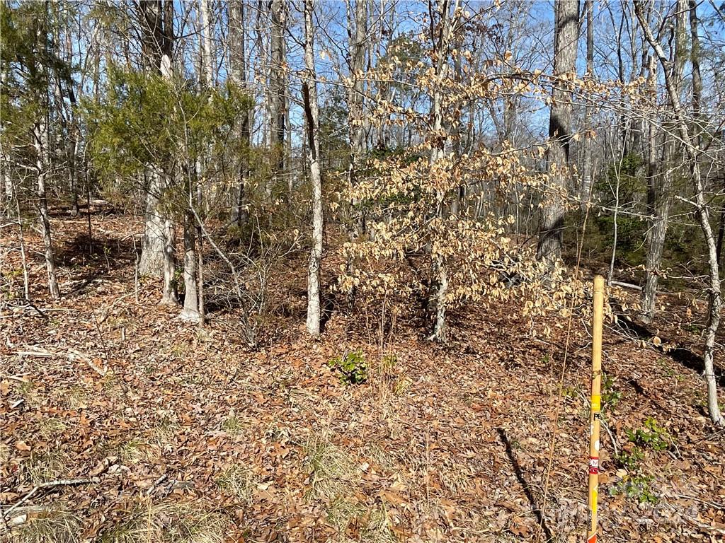 161 Little River Trail Fort Mill, SC 29707 - Photo 17 of 41