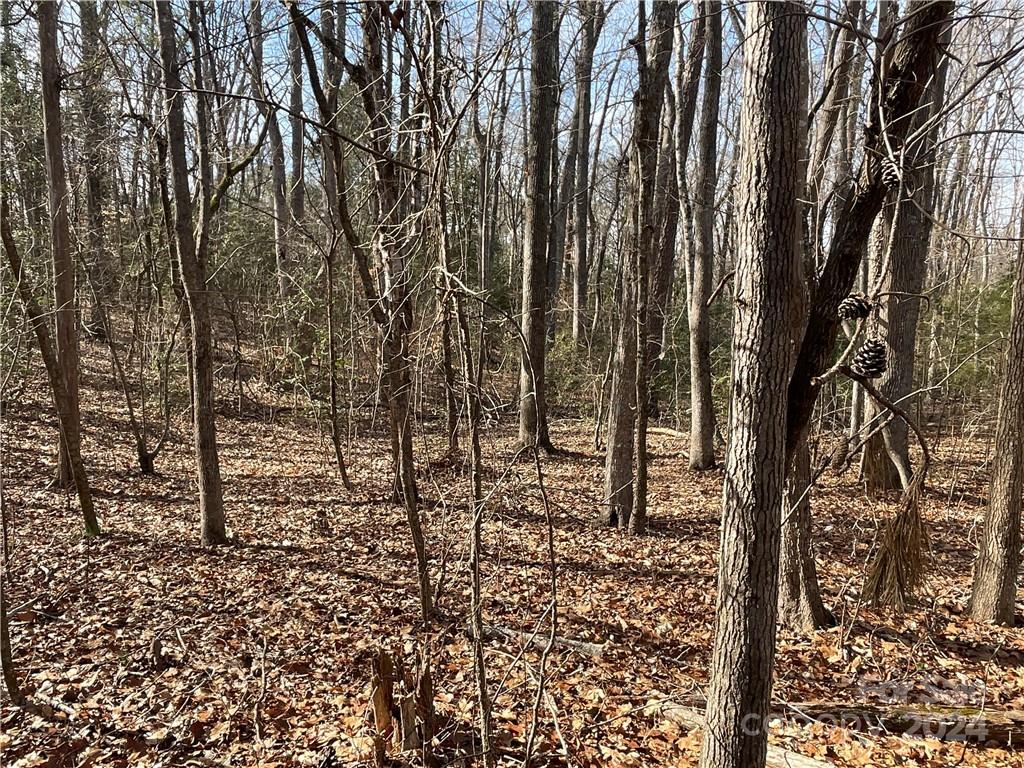 161 Little River Trail Fort Mill, SC 29707 - Photo 18 of 41