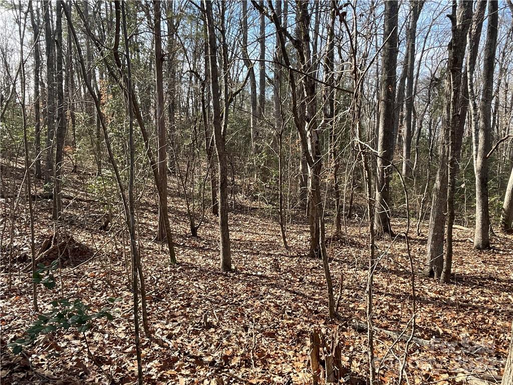 161 Little River Trail Fort Mill, SC 29707 - Photo 19 of 41