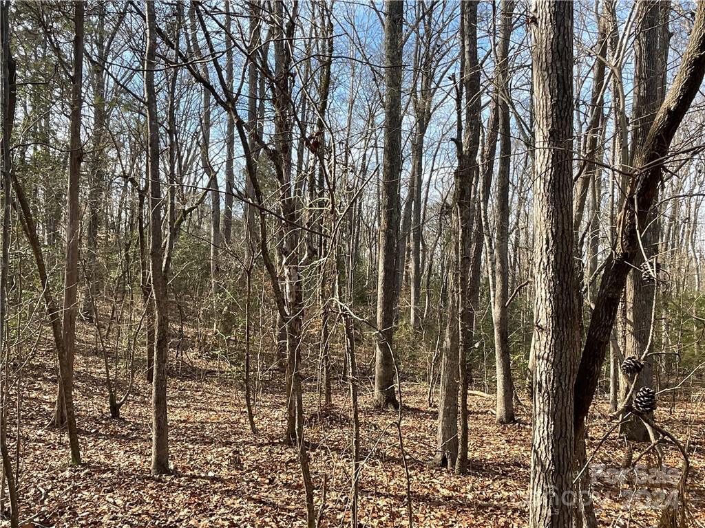 161 Little River Trail Fort Mill, SC 29707 - Photo 20 of 41