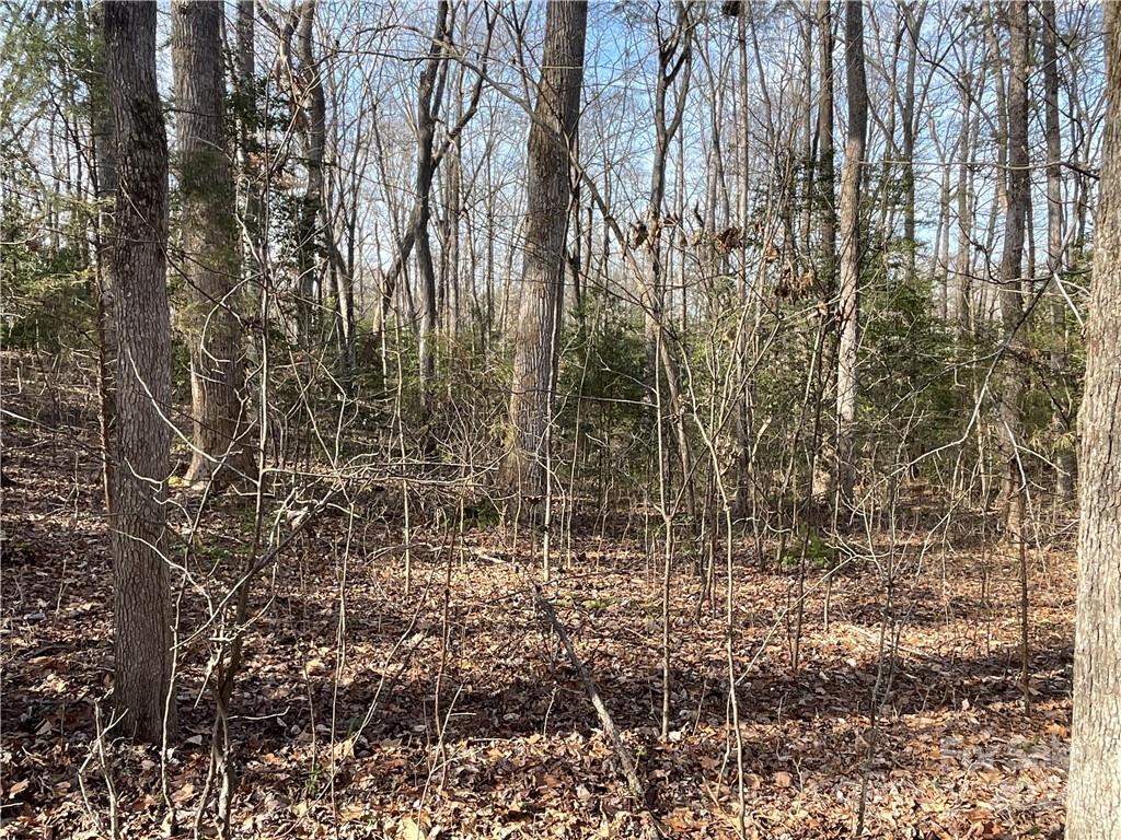 161 Little River Trail Fort Mill, SC 29707 - Photo 21 of 41