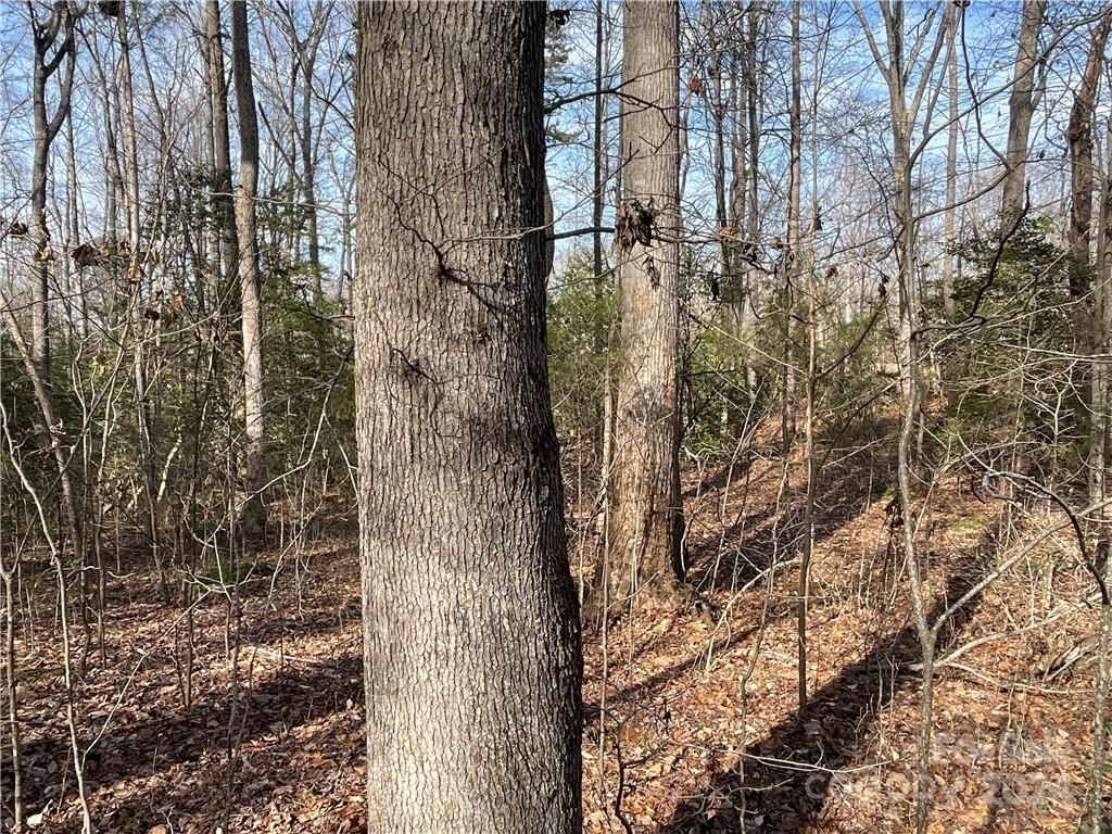 161 Little River Trail Fort Mill, SC 29707 - Photo 22 of 41