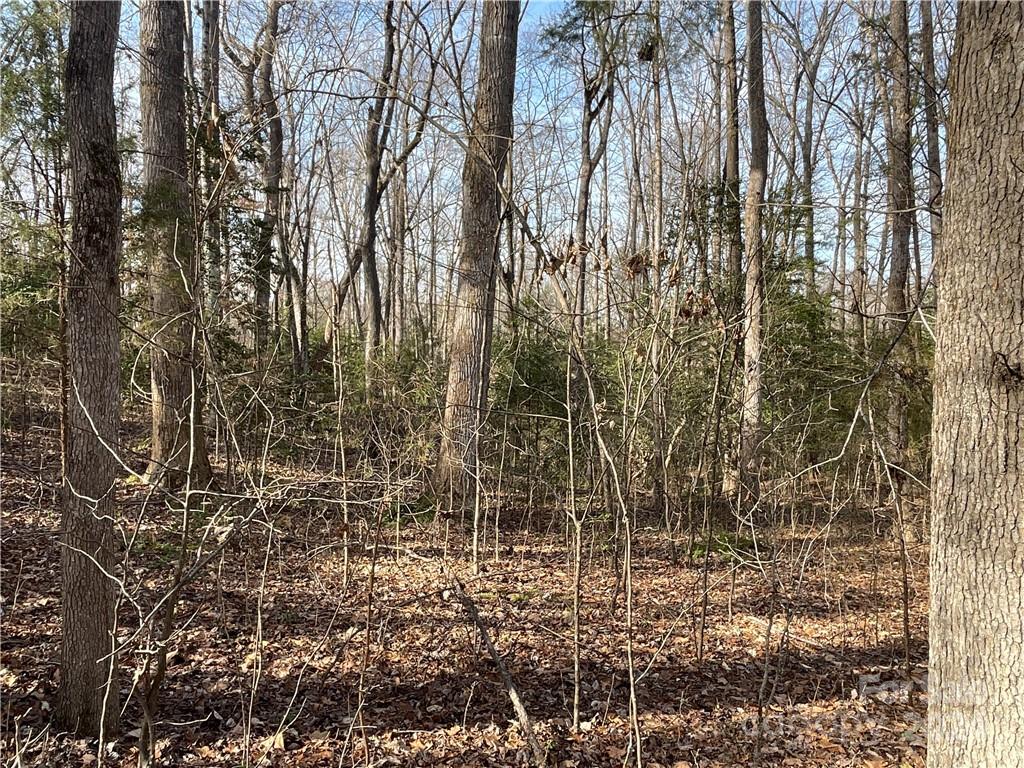 161 Little River Trail Fort Mill, SC 29707 - Photo 23 of 41