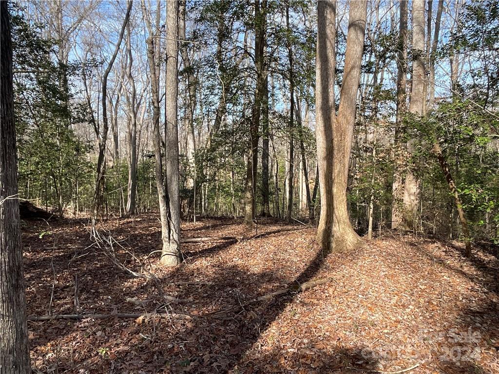 161 Little River Trail Fort Mill, SC 29707 - Photo 24 of 41