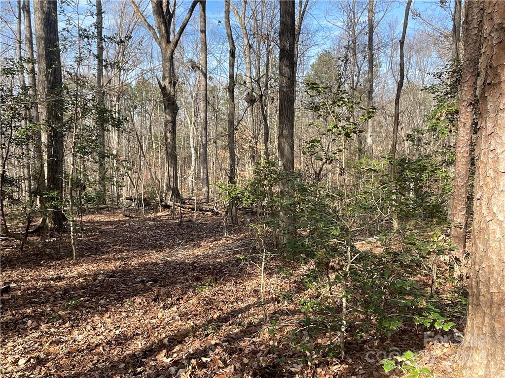 161 Little River Trail Fort Mill, SC 29707 - Photo 25 of 41