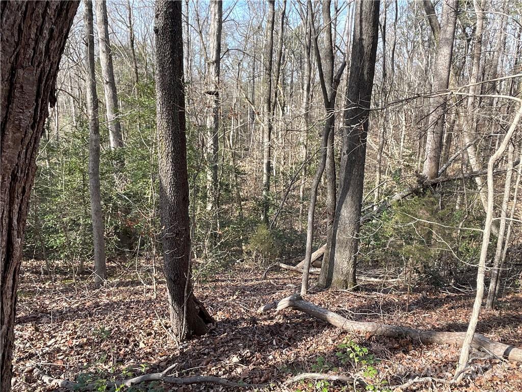 161 Little River Trail Fort Mill, SC 29707 - Photo 26 of 41