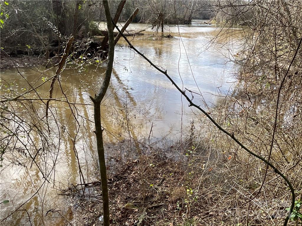 161 Little River Trail Fort Mill, SC 29707 - Photo 5 of 41