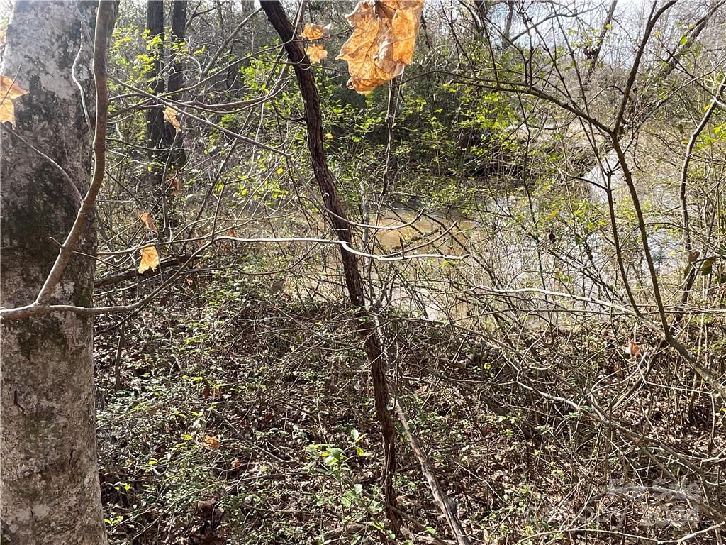 161 Little River Trail Fort Mill, SC 29707 - Photo 6 of 41