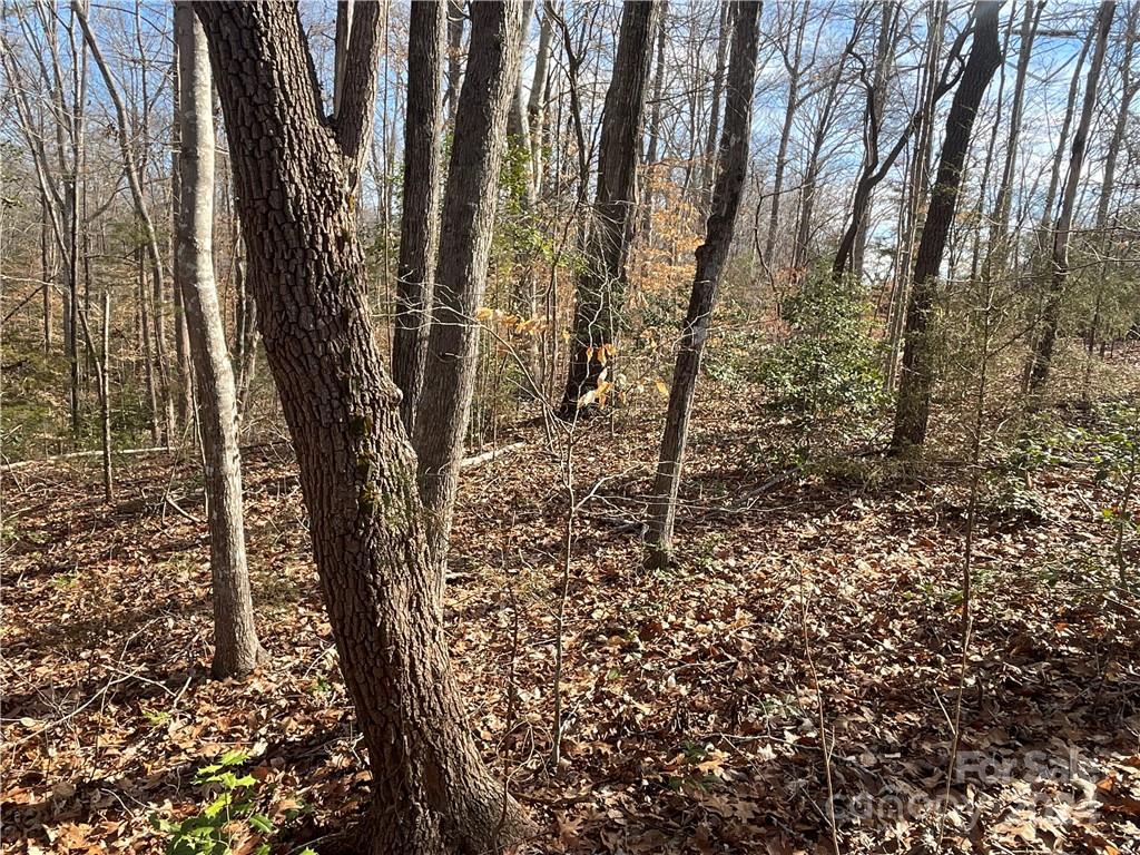 161 Little River Trail Fort Mill, SC 29707 - Photo 8 of 41