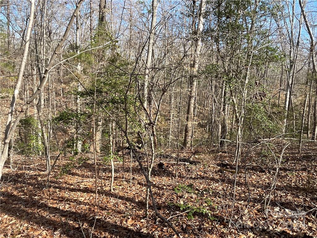 161 Little River Trail Fort Mill, SC 29707 - Photo 9 of 41