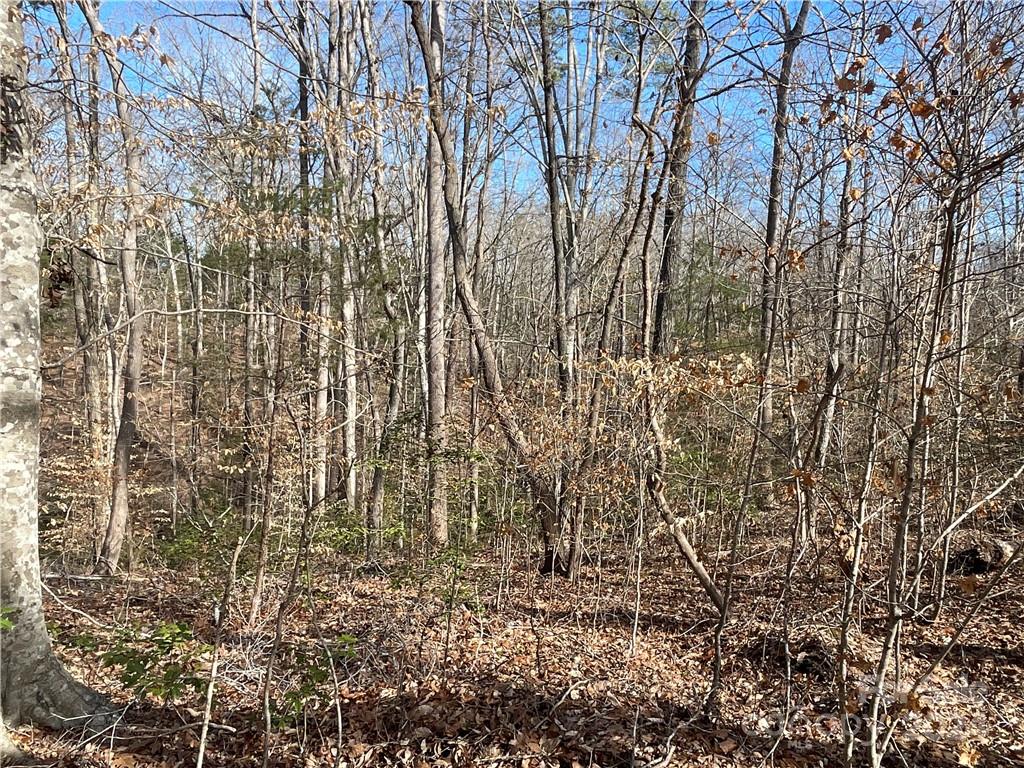 161 Little River Trail Fort Mill, SC 29707 - Photo 10 of 41