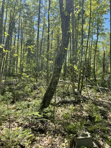 $31,900 | 8-l 16 Fowles Road, Searsmont, ME 04973