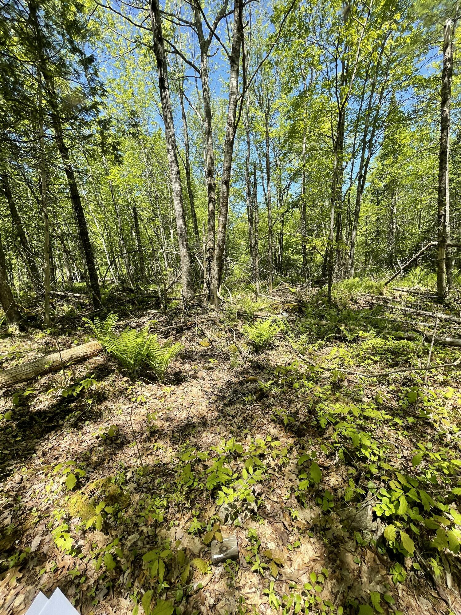 8-l 16 Fowles Road Searsmont, ME 04973 - Photo 6 of 14 IMG_1110