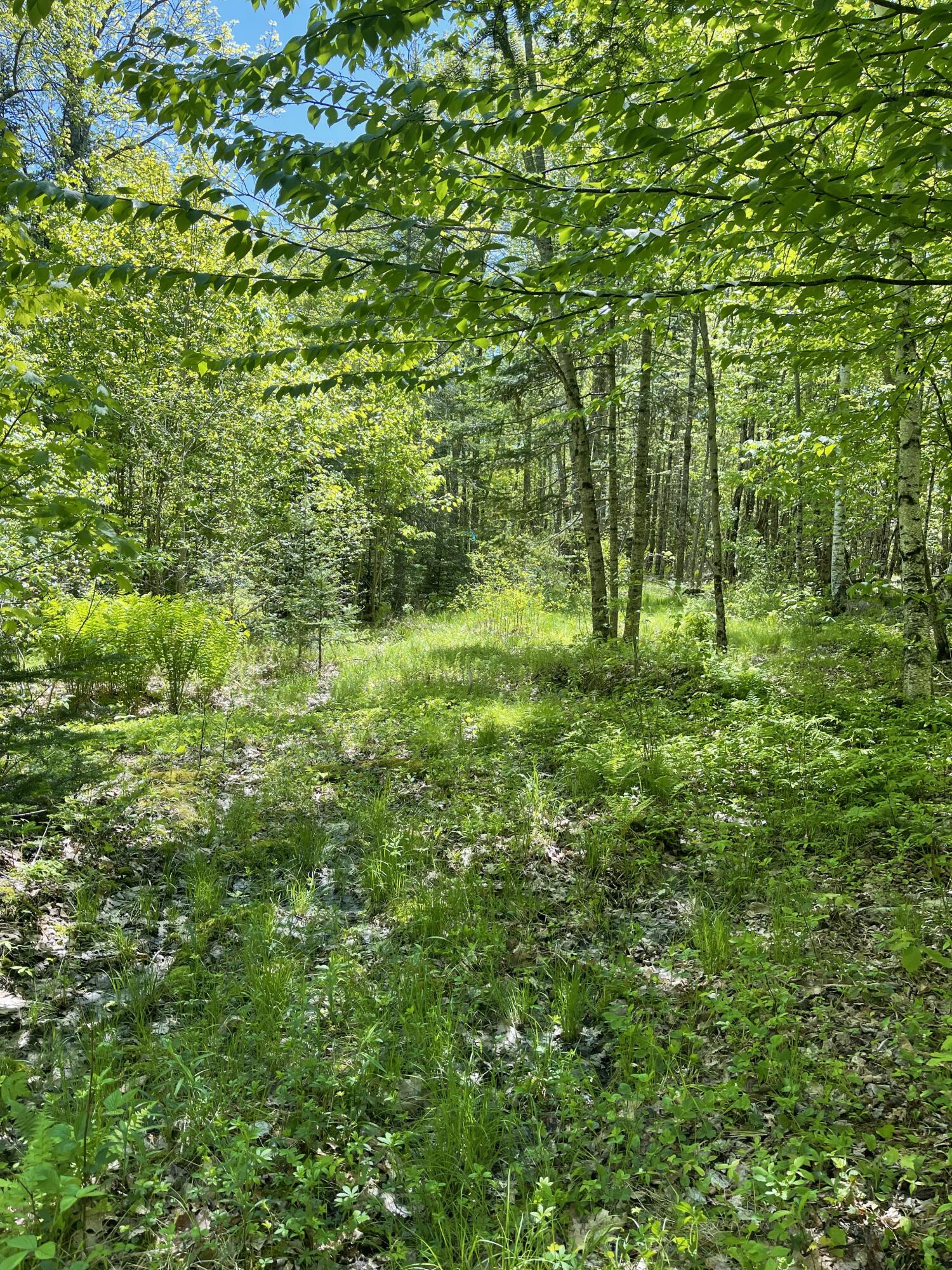 8-l 16 Fowles Road Searsmont, ME 04973 - Photo 7 of 14 IMG_1115