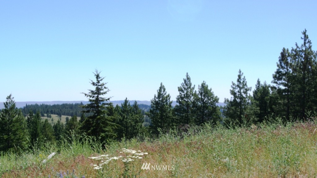 26025 Union Valley Road Chelan, WA 98816 - Photo 5 of 7 Gallery Image 5