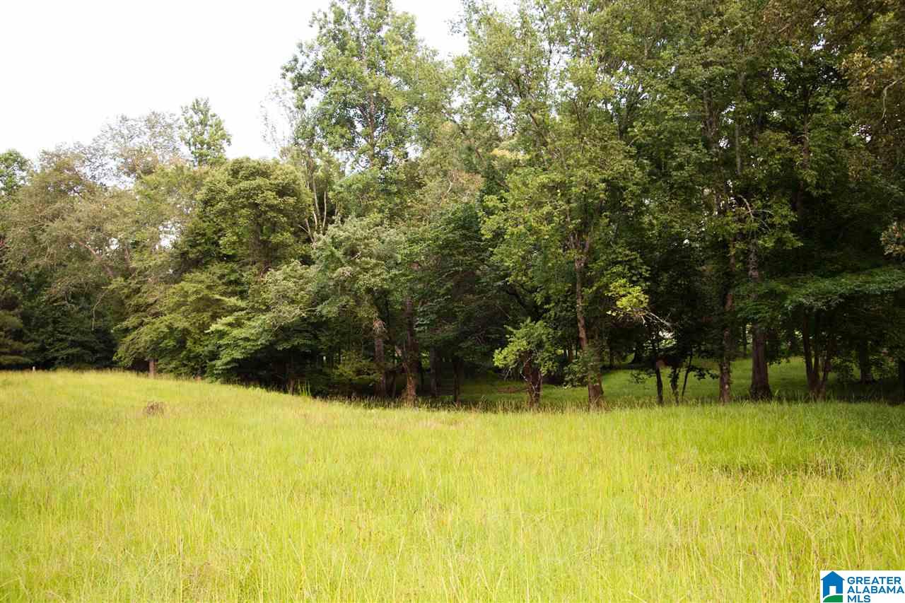 616 Seven Springs Road Wellington, AL 36279 - Photo 8 of 47