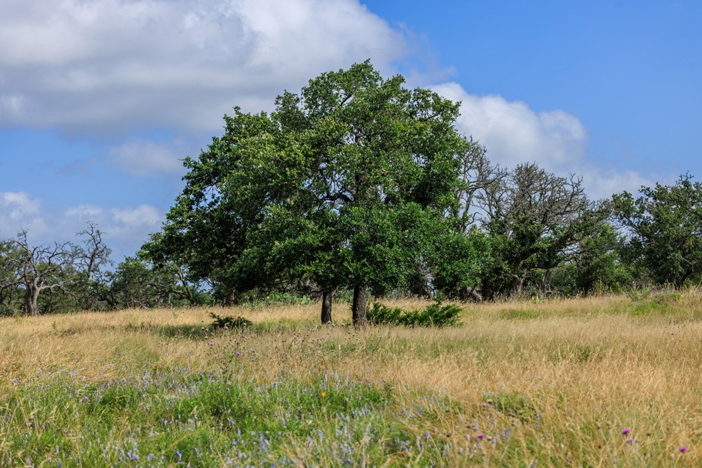 436 Stevens Ranch Road, Unit 8 Harper, TX 78631 - Photo 21 of 25
