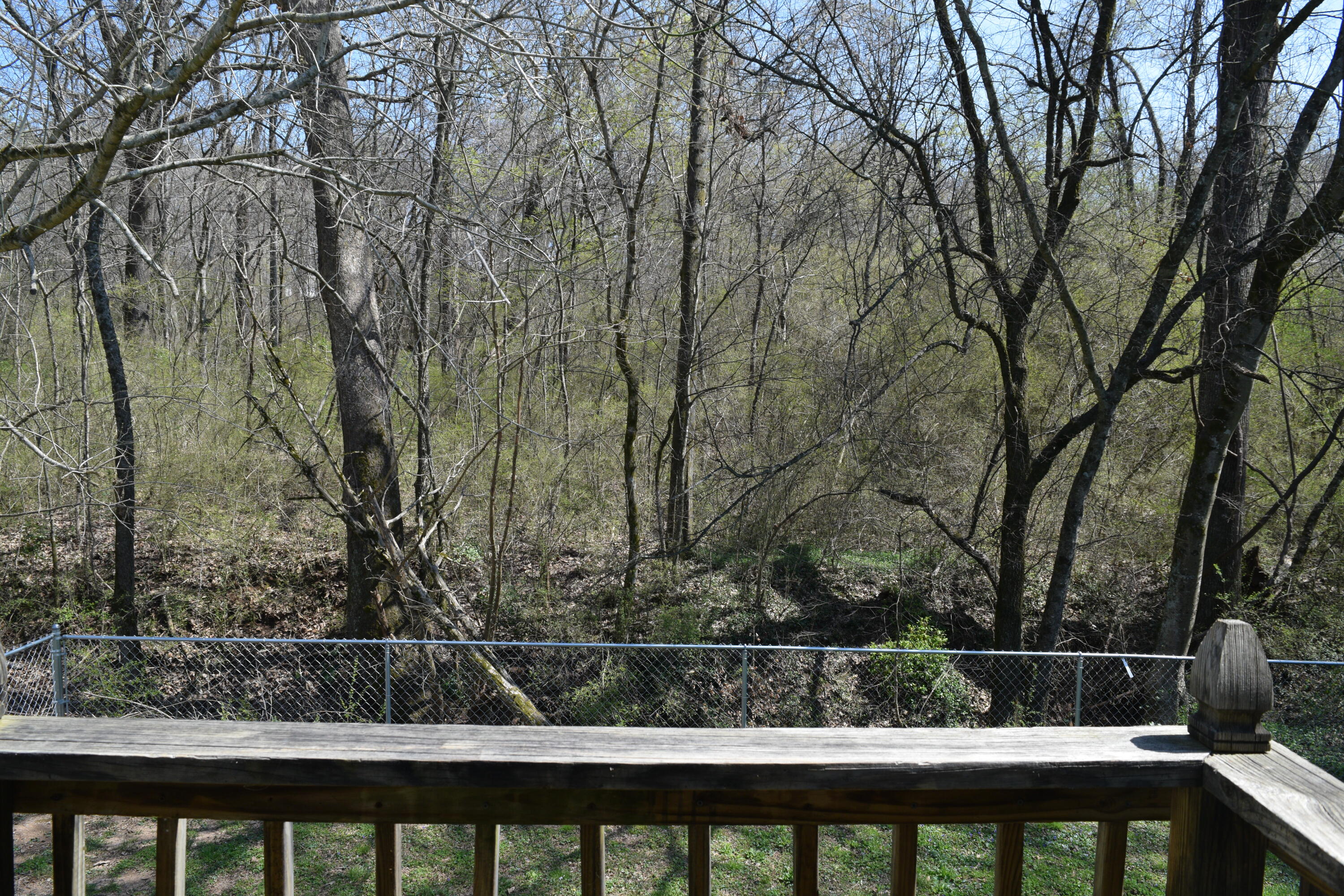 150 Patty Road Benton, TN 37307 - Photo 29 of 50 B09C12D3-D4B4-4ED2-B942-83578F2AC00E
