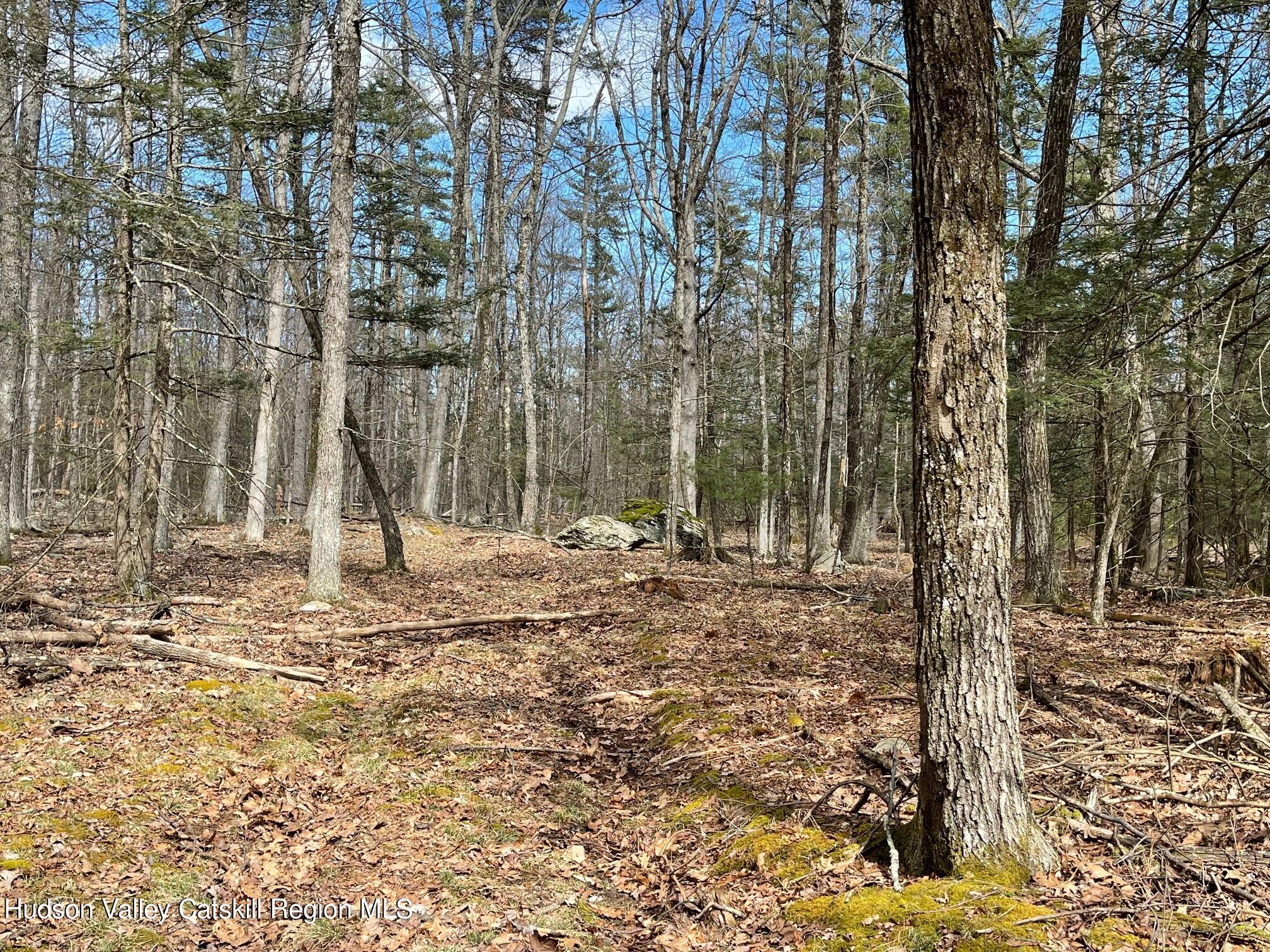 Tbd Anderson Road Olivebridge, NY 12461 - Photo 13 of 25 IMG_9734