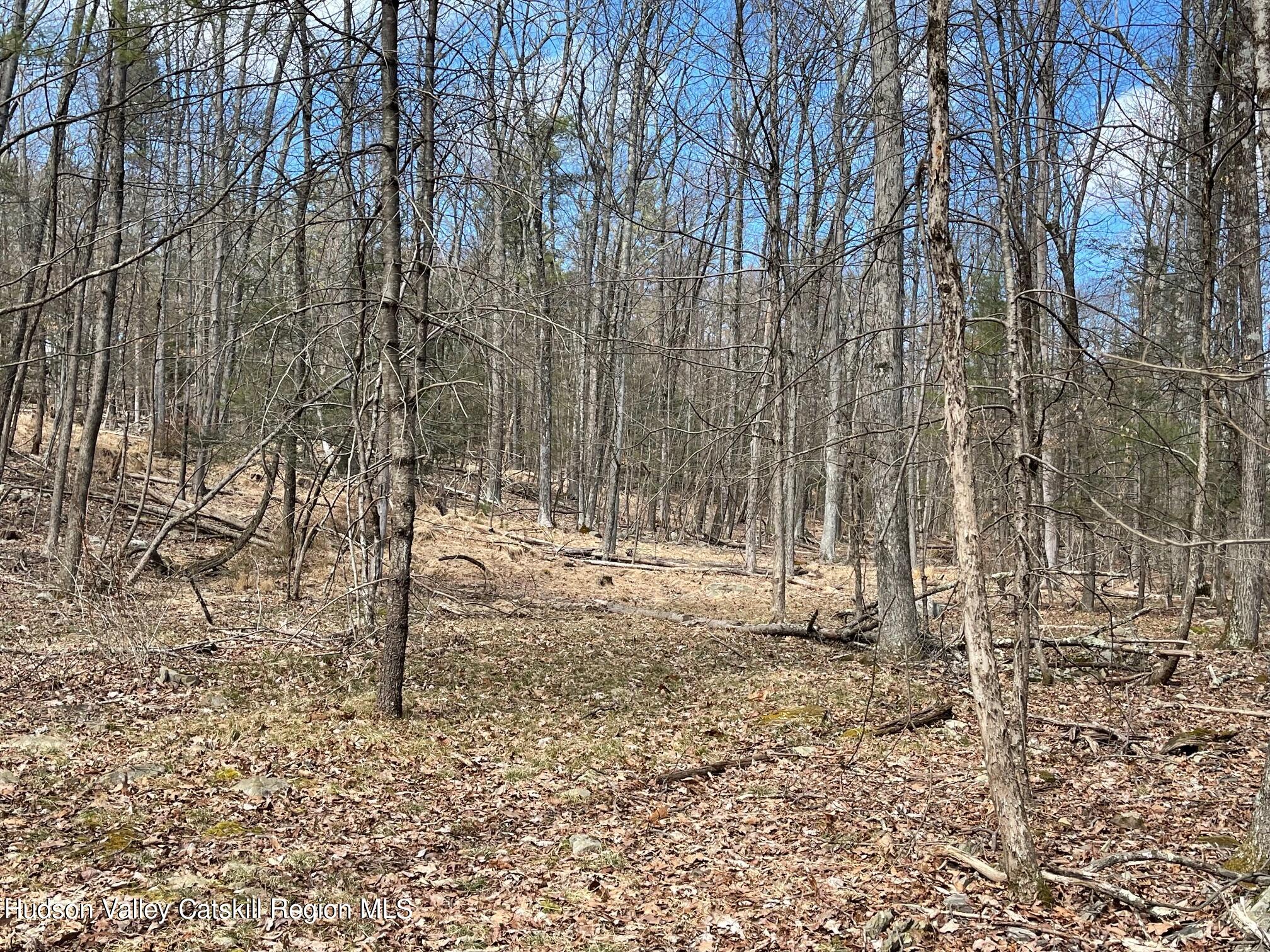 Tbd Anderson Road Olivebridge, NY 12461 - Photo 15 of 25 IMG_9736