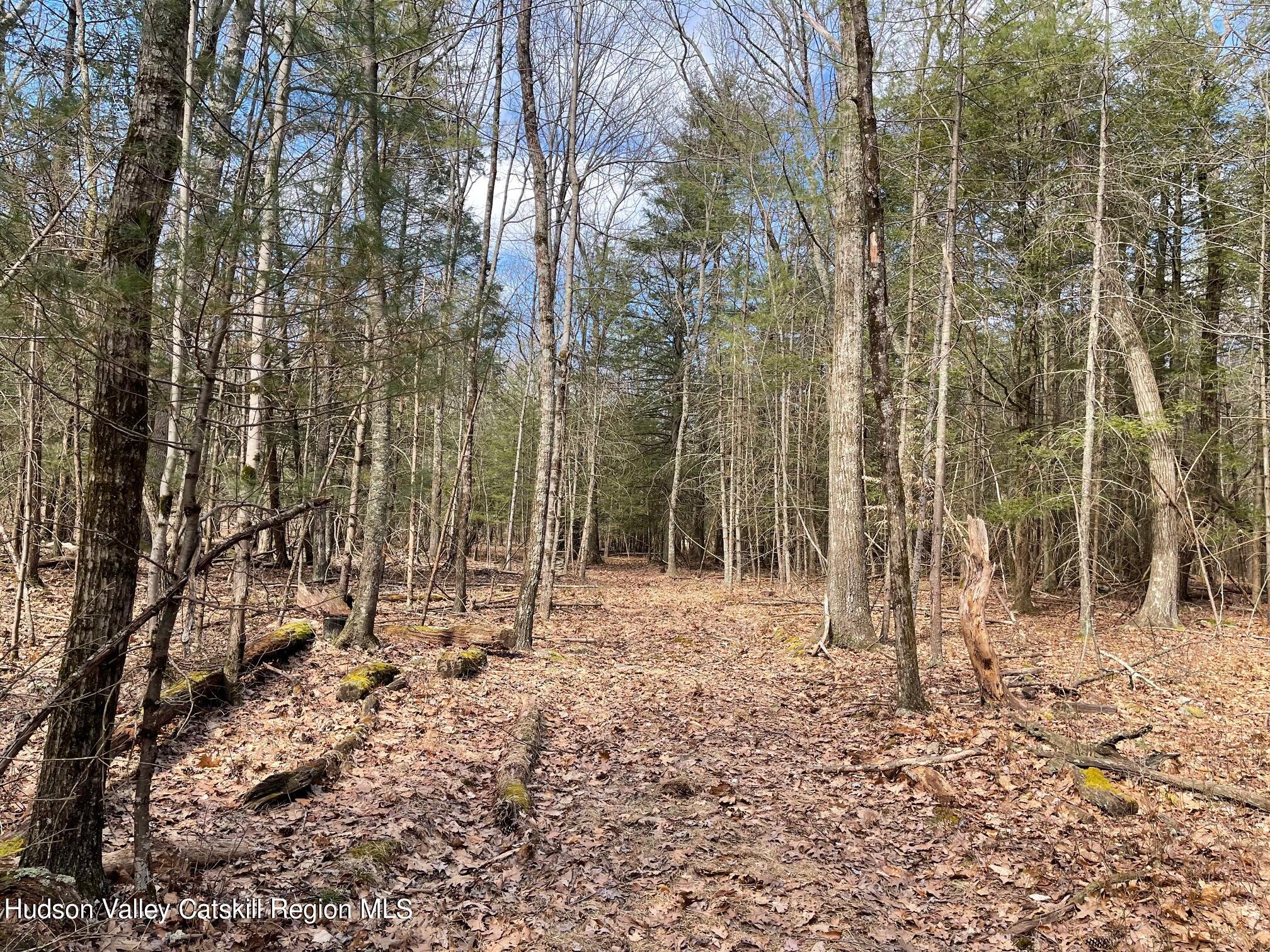 Tbd Anderson Road Olivebridge, NY 12461 - Photo 24 of 25 IMG_9755 (1)