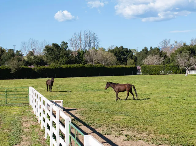 a view of a lake with houses in the back