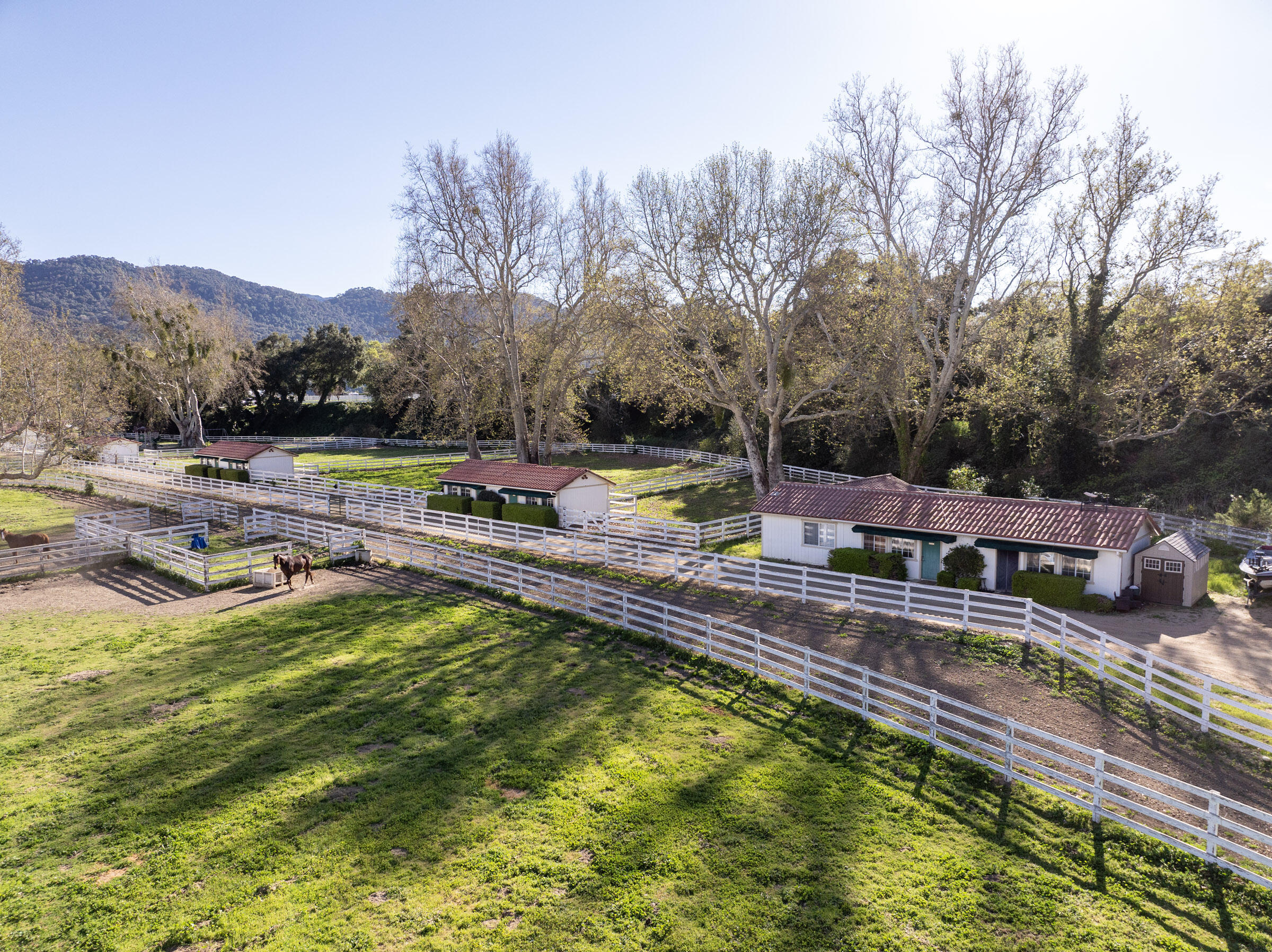 120 Meadowlark Road Santa Ynez, CA 93460 - Photo 3 of 42 a view of swimming pool with a garden and trees