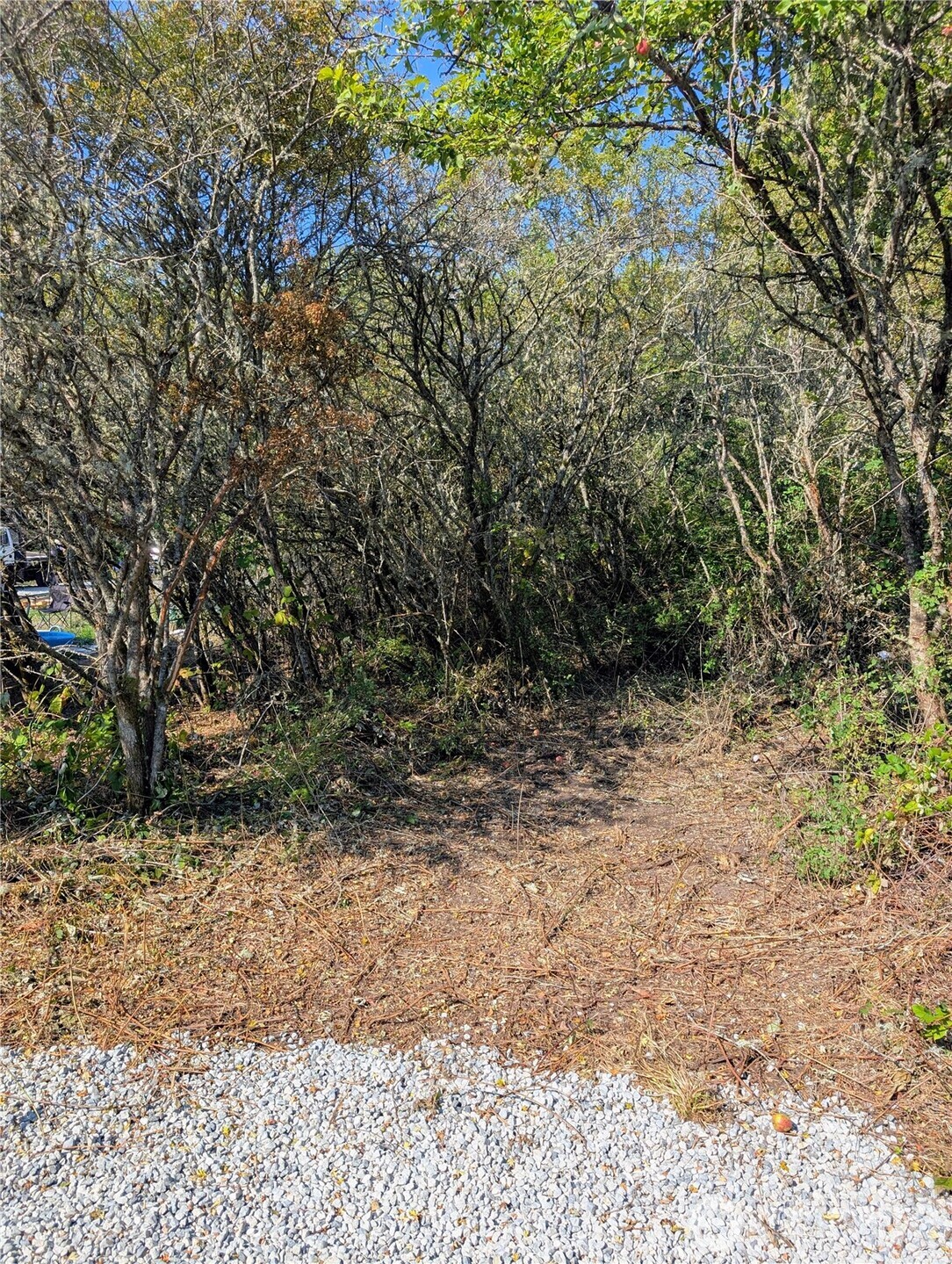 463 Marsh Road Point Roberts, WA 98281 - Photo 5 of 9 Gallery Image 5