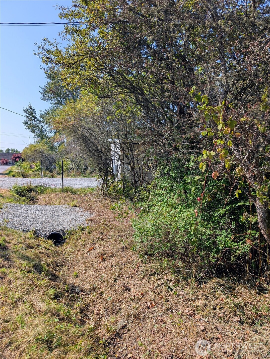 463 Marsh Road Point Roberts, WA 98281 - Photo 9 of 9 Gallery Image 9
