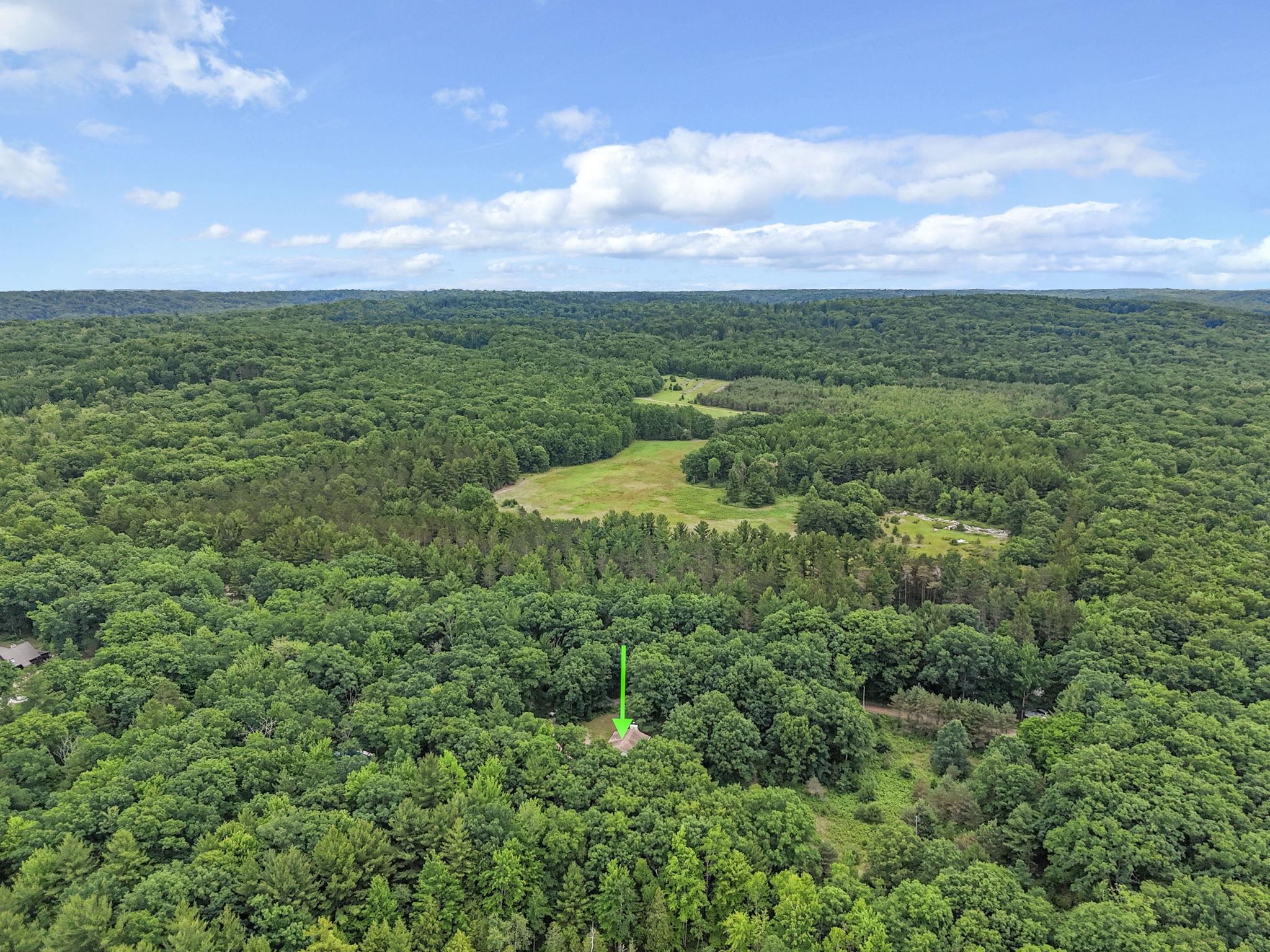 9650 Silny Road Interlochen, MI 49643 - Photo 15 of 40