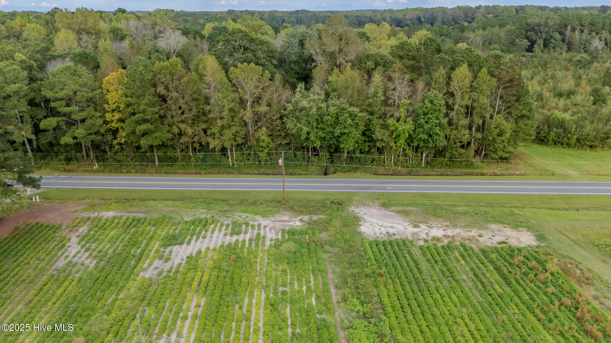 2-515 Porter Swamp Road Cerro Gordo, NC 28430 - Photo 10 of 12 09