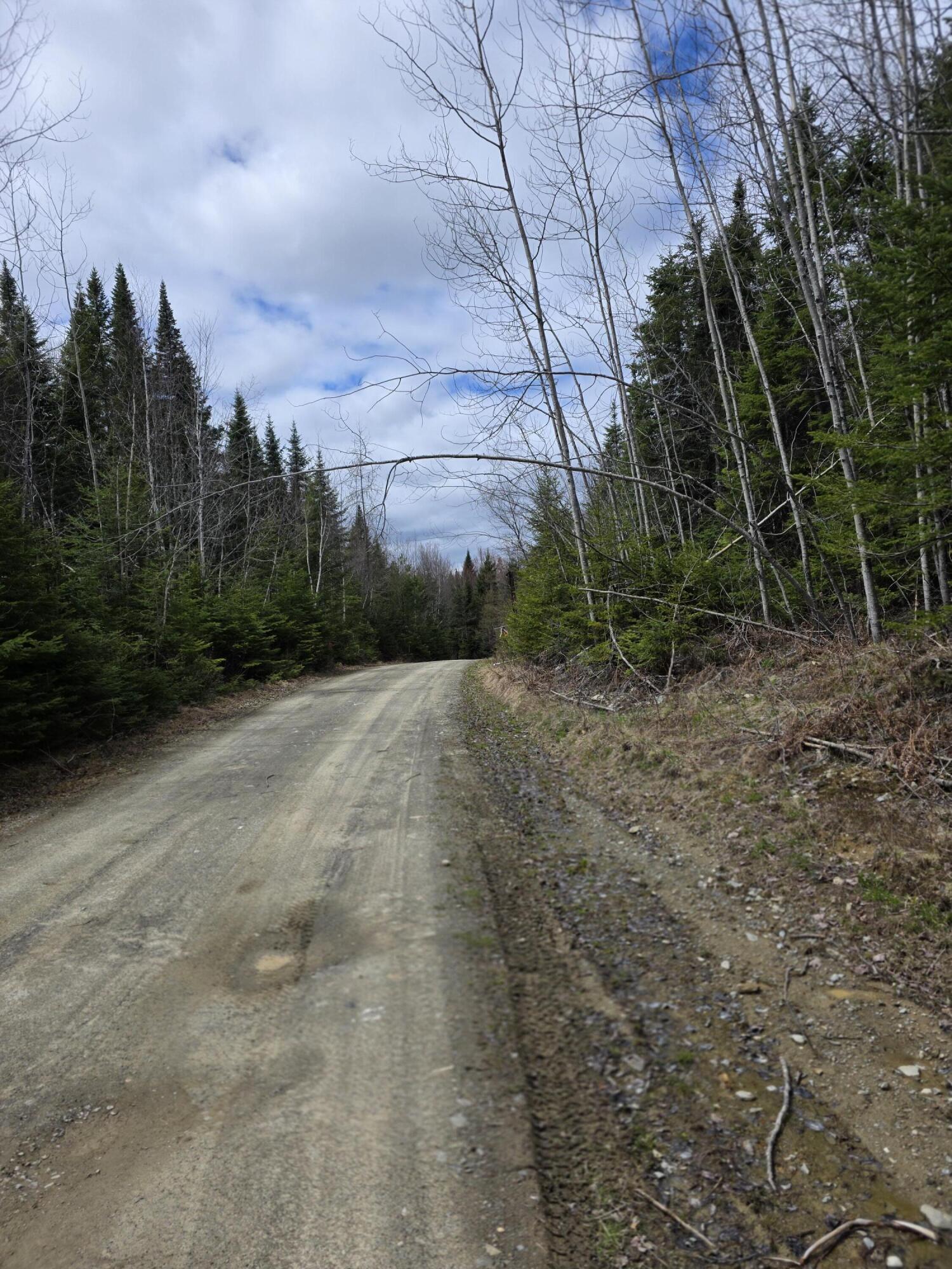 Ar105-p4 Jemtland Road Caribou, ME 04736 - Photo 2 of 6 20260512_121537