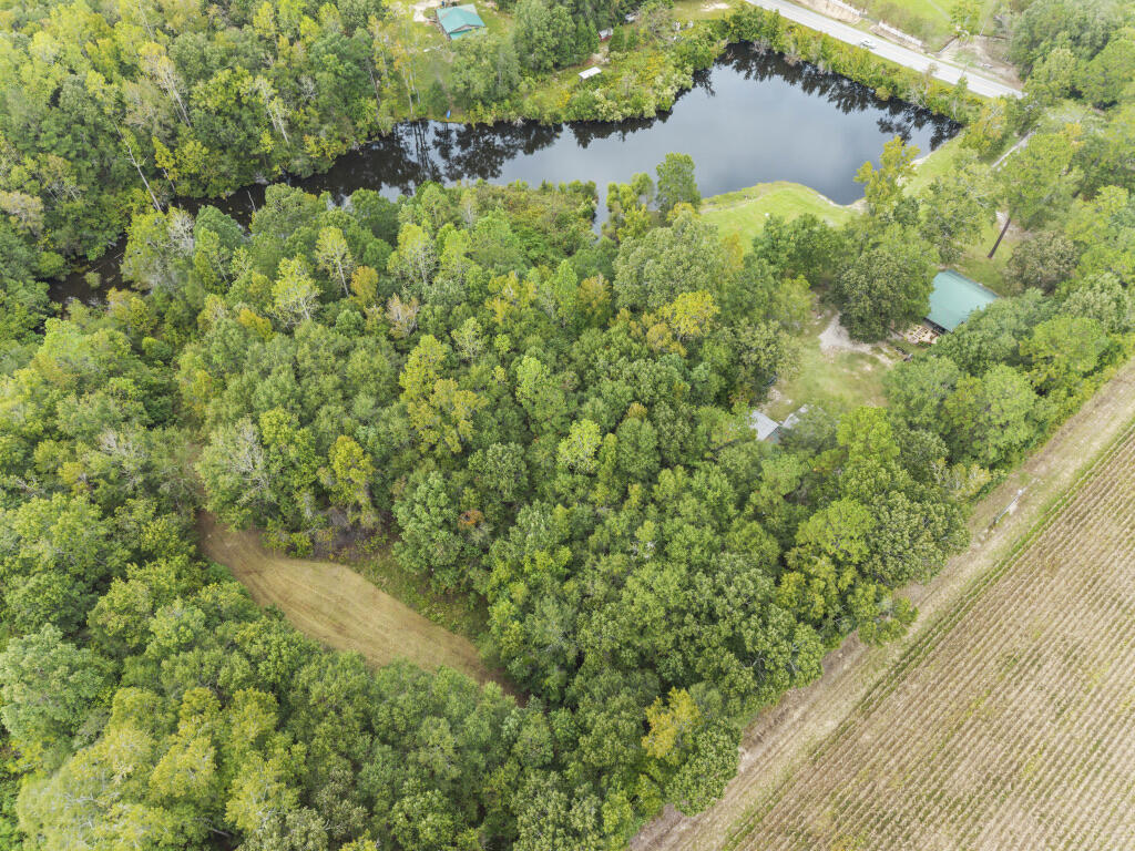 3401 Santee River Road St. Stephen, SC 29479 - Photo 42 of 51 ABF861E2-9697-46C5-9FF6-E3522535BC71_1_1