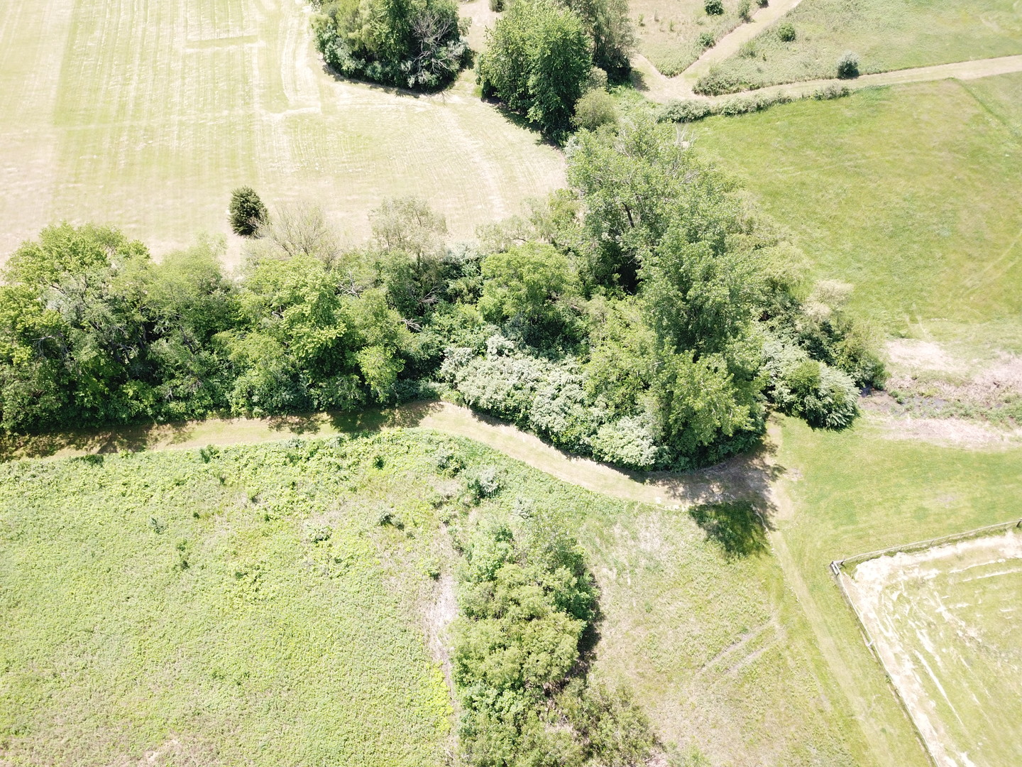 4802 North 12000 W Road Bonfield, IL 60913 - Photo 5 of 8 a view of a yard with an trees