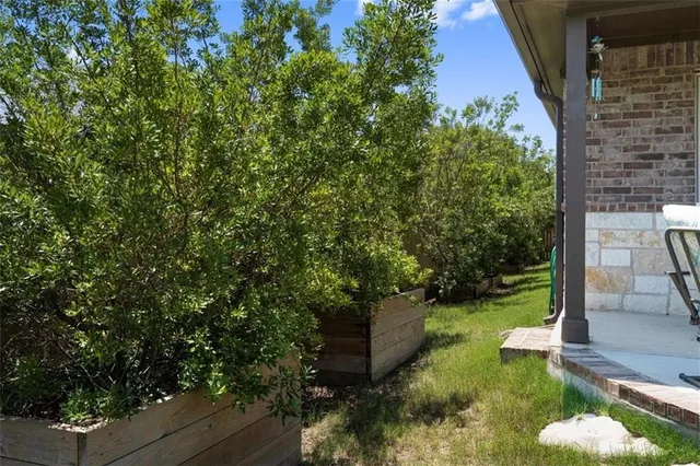 a view of a yard with plants