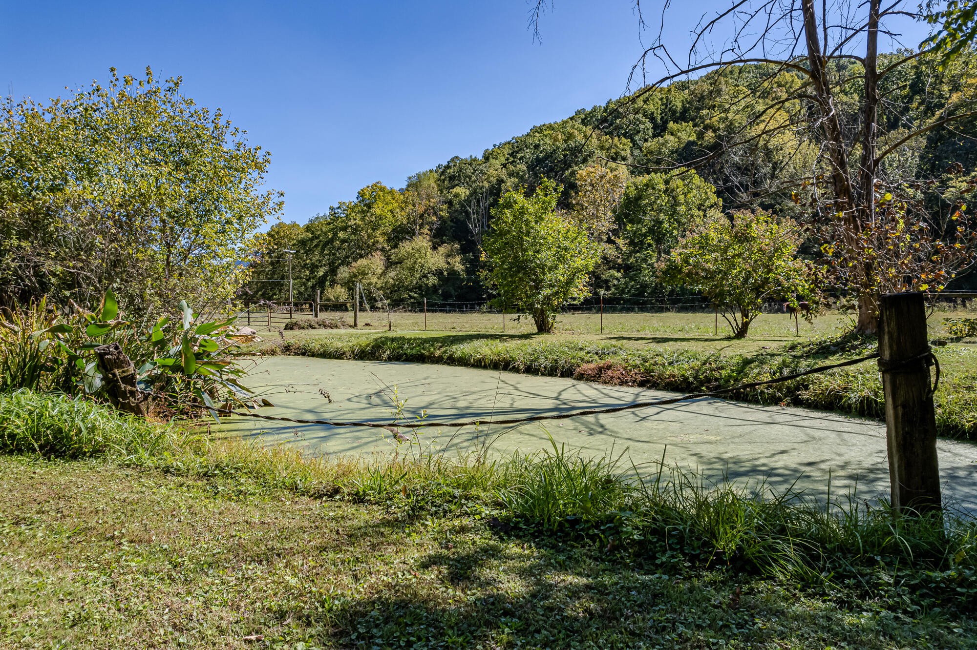 2443 Fairview Road Madisonville, TN 37354 - Photo 3 of 50 Gallery Image 3