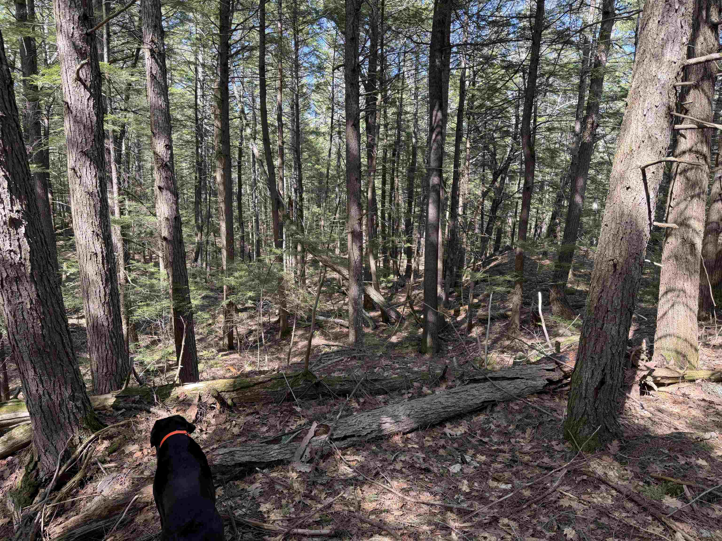 R29-l9 Roxbury Road, Unit LOT 9 Meredith, NH 03253 - Photo 27 of 36