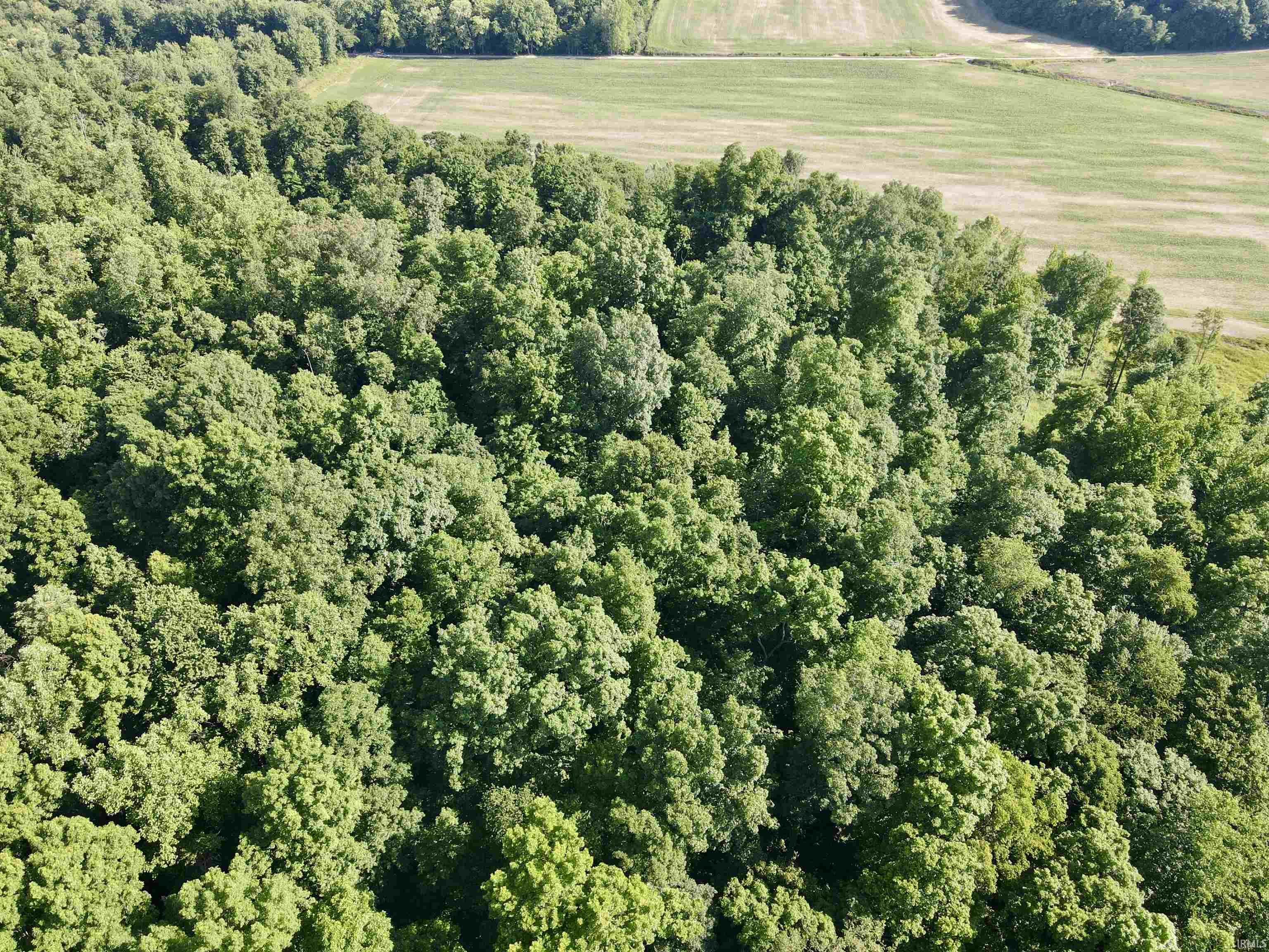 State Road Shoals, IN 47581 - Photo 10 of 25