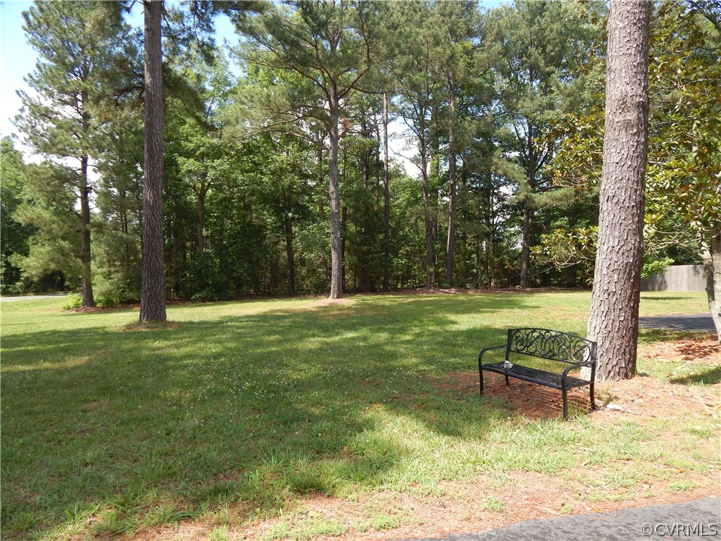 9201 Winterpock Road Chesterfield, VA 23832 - Photo 6 of 28 a view of backyard with large trees