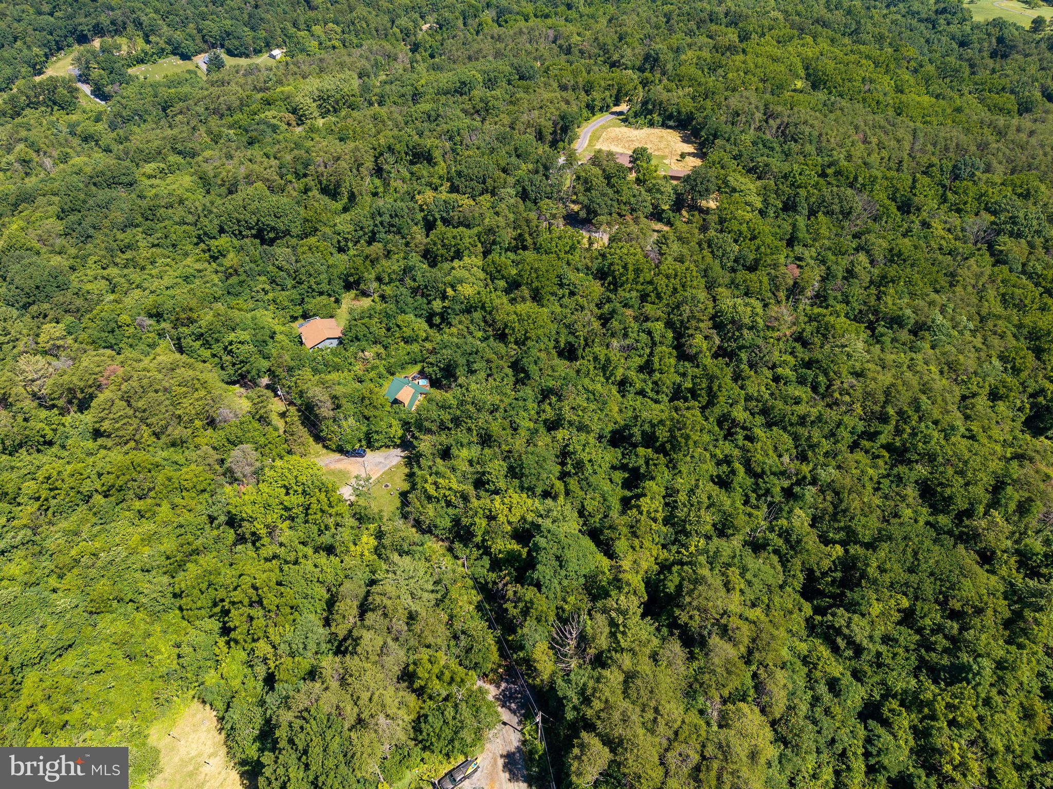 707 Overlook Drive Rileyville, VA 22650 - Photo 89 of 94