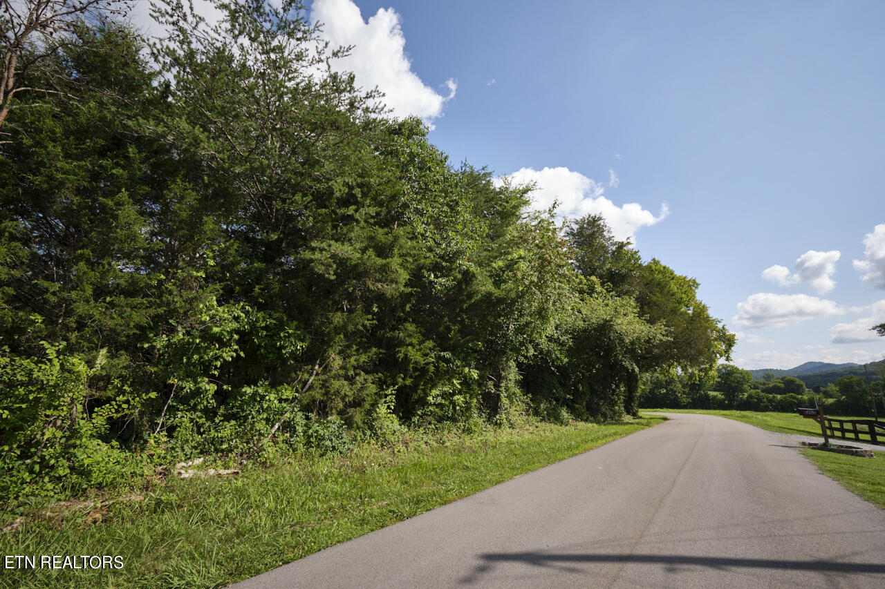 Rutledge Pike Blaine, TN 37709 - Photo 5 of 11 Land For Sale 7 (1)