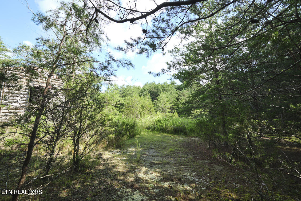 Rutledge Pike Blaine, TN 37709 - Photo 6 of 11 Land For Sale 8 (1)