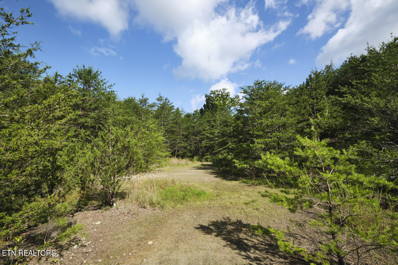 Rutledge Pike Blaine, TN 37709 - Photo 7 of 11 Land For Sale 10 (1)