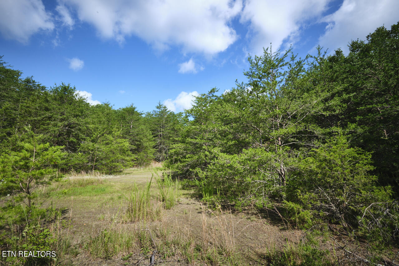 Rutledge Pike Blaine, TN 37709 - Photo 8 of 11 Land For Sale 13 (1)