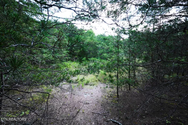 $325,000 | Rutledge Pike, Blaine, TN 37709