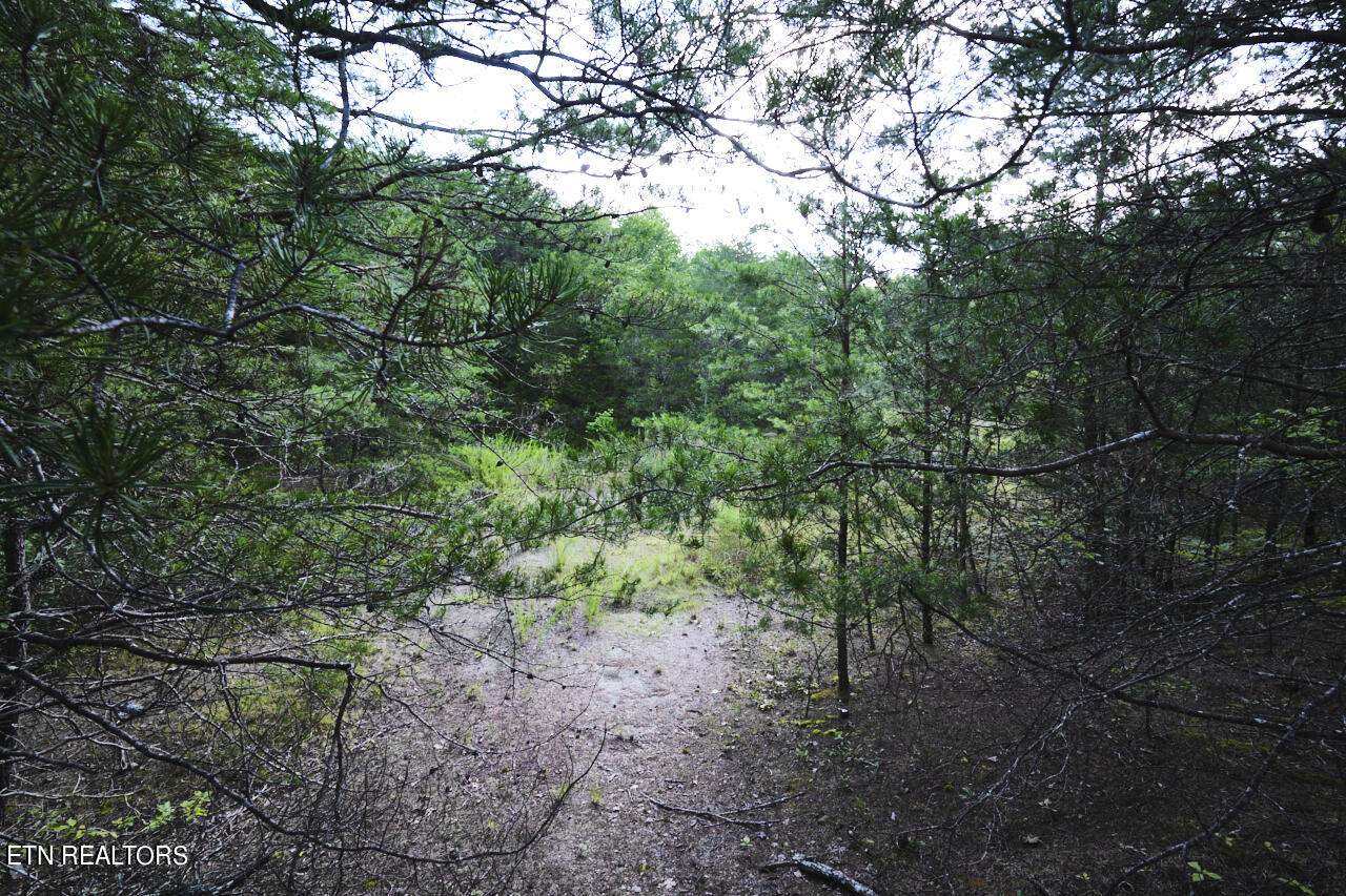 Rutledge Pike Blaine, TN 37709 - Photo 9 of 11 Land For Sale 12 (1)