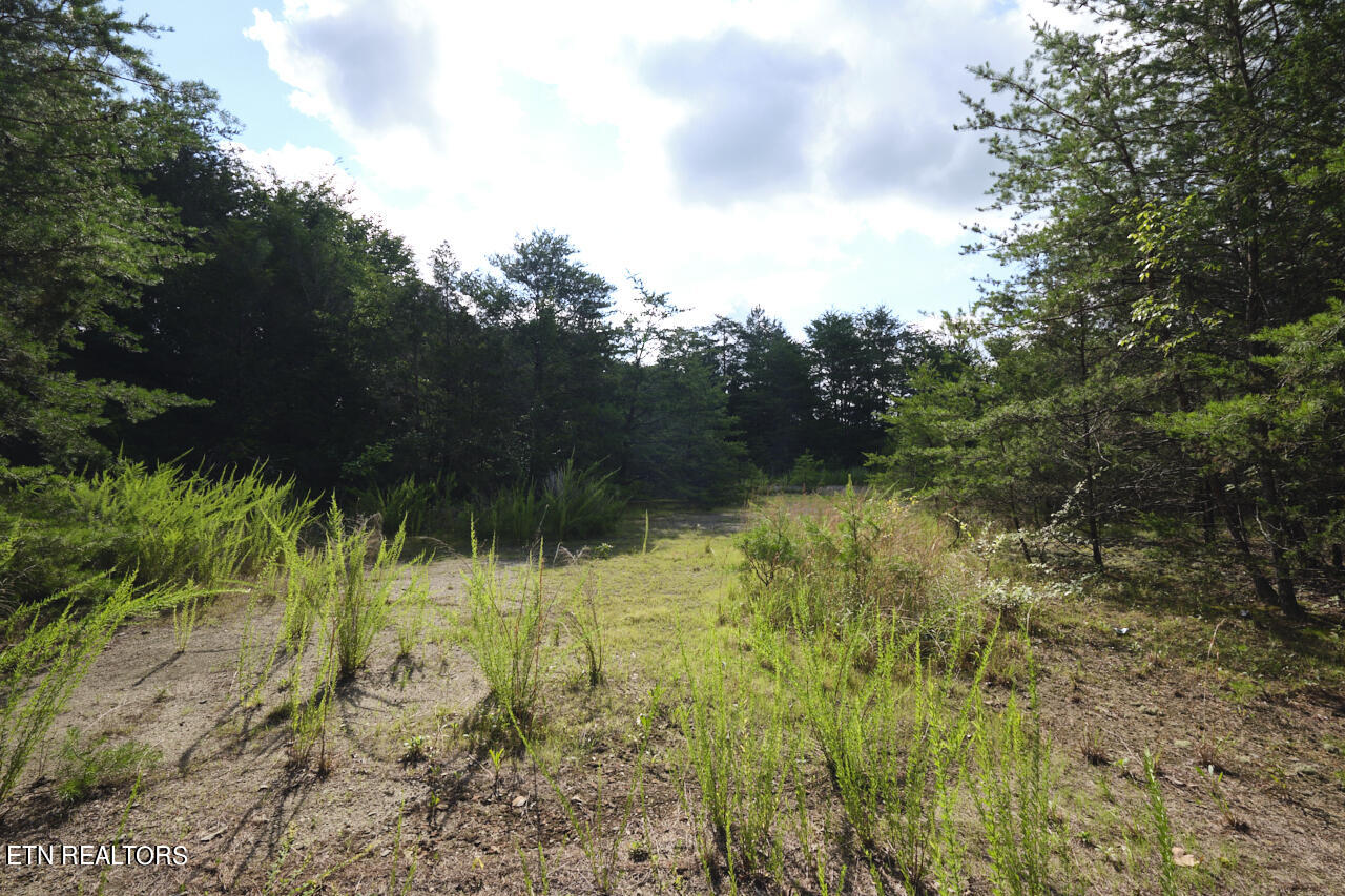 Rutledge Pike Blaine, TN 37709 - Photo 10 of 11 Land For Sale 11 (1)